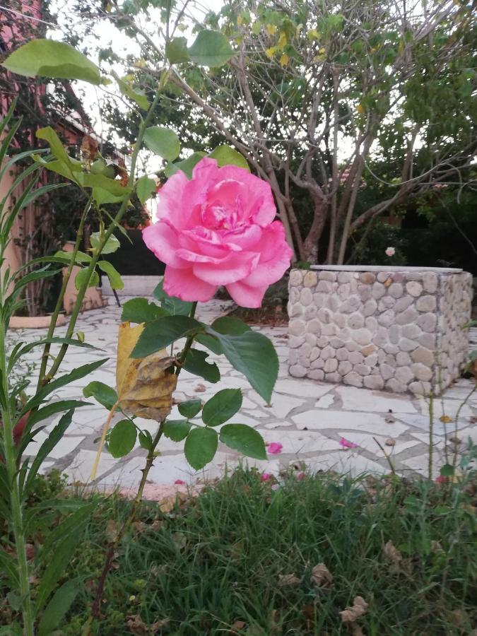 Anestis Studios Agios Georgios  ภายนอก รูปภาพ